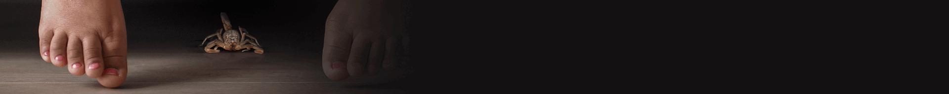Campanha Alerta Escorpião