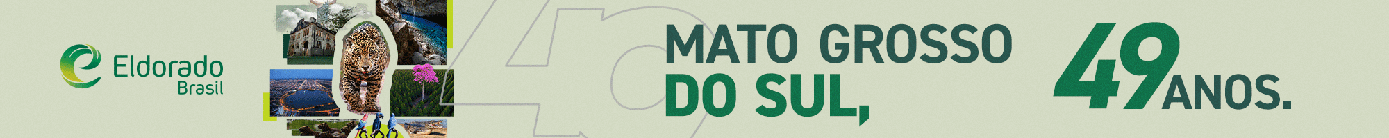 . Campanha Aniversário de MS