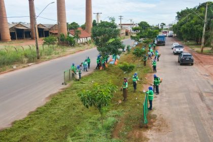 Prefeitura de Três Lagoas realiza roçada de áreas verdes no município