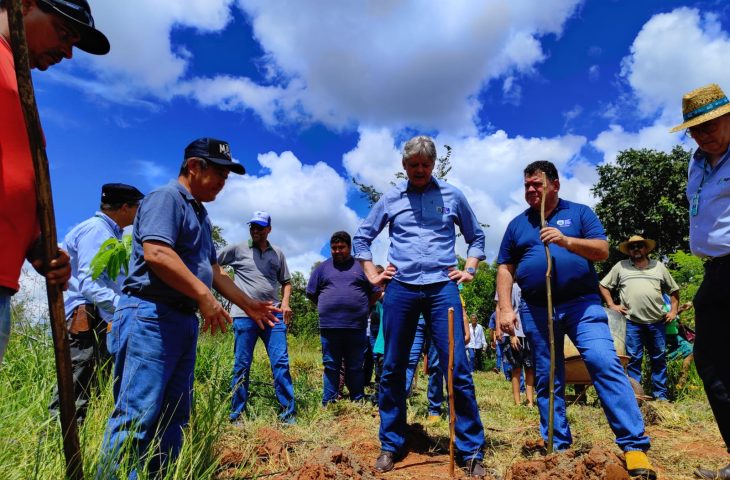 Inclusão Verde: Mato Grosso do Sul inova ao inserir a agricultura familiar no mercado de crédito de carbono