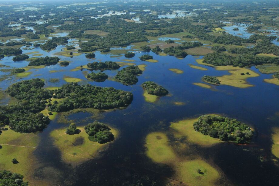 Pantanal sul-mato-grossense pode virar patrimônio nacional  