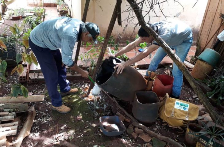 Boletim Epidemiológico: MS registra 6.796 casos confirmados de dengue