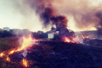 QUEIMADAS URBANAS — Fiscalização intensifica ações e já registra dezenas de autuações em Três Lagoas
