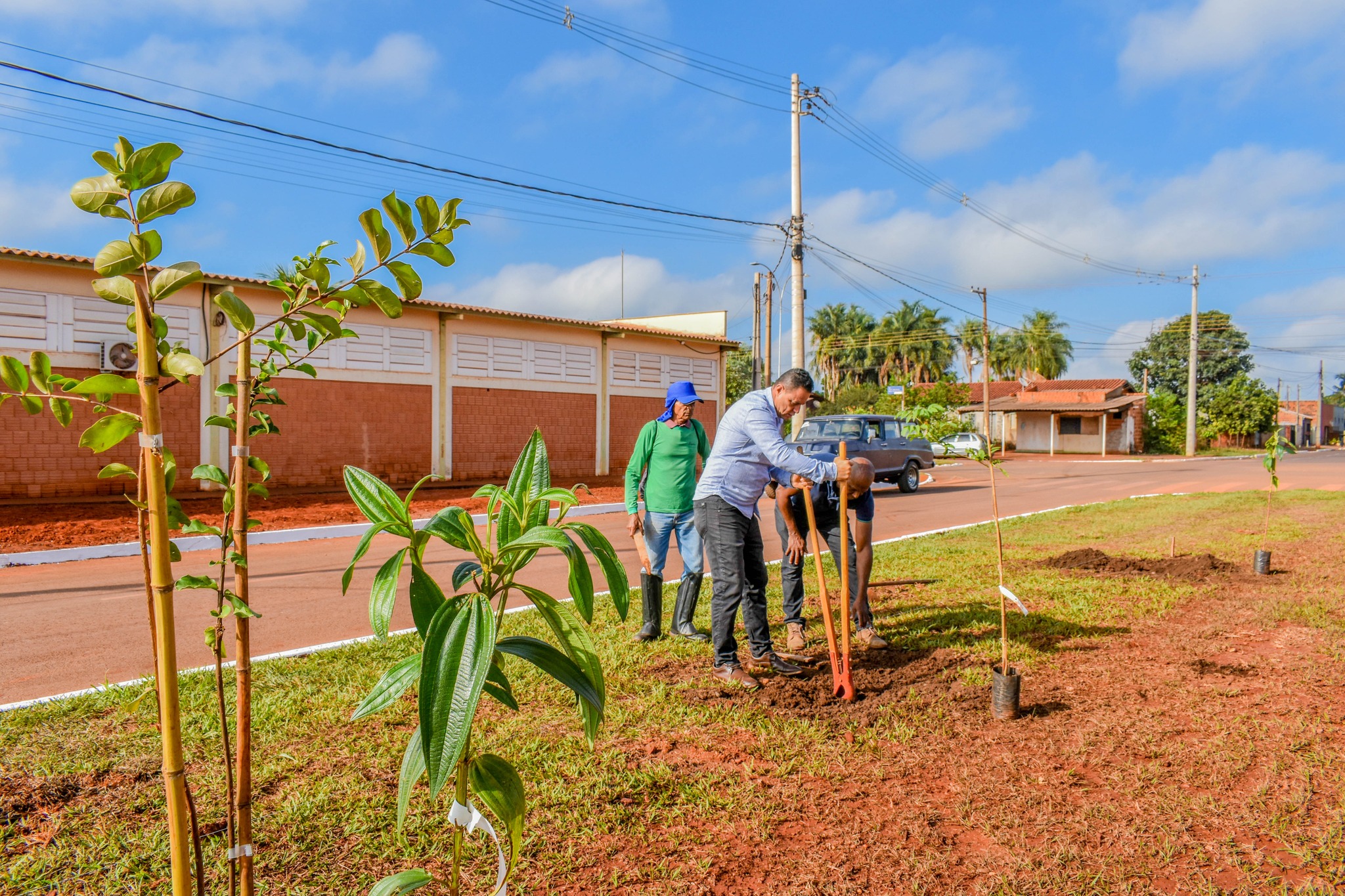 Prefeitura de Selvíria planta mudas em comemoração ao Dia Mundial do Meio Ambiente
