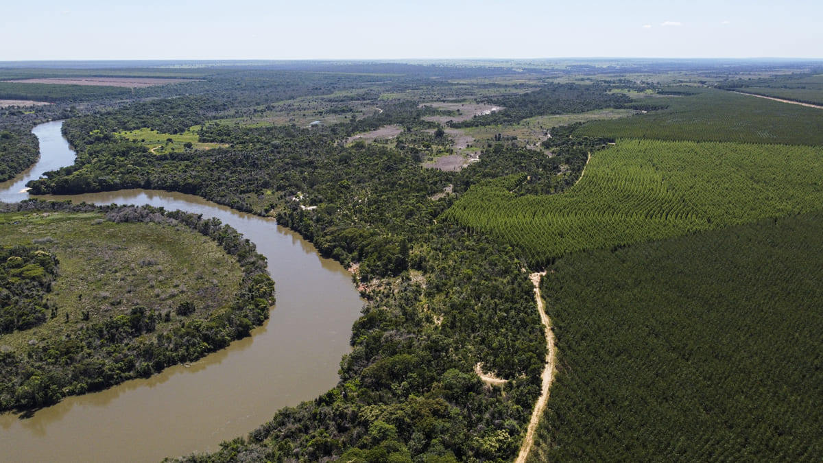 Suzano integra tecnologia e trabalho em rede para proteger mais de 300 mil hectares de Cerrado contra incêndios em MS