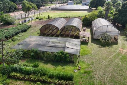 Viveiro Municipal de Três Lagoas continua atendendo em horário contínuo