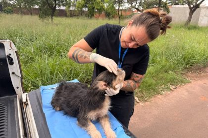Prefeitura realiza primeira ação de atendimento veterinário a animais de rua nos bairros Jardim Santa Júlia e Vila Alegre